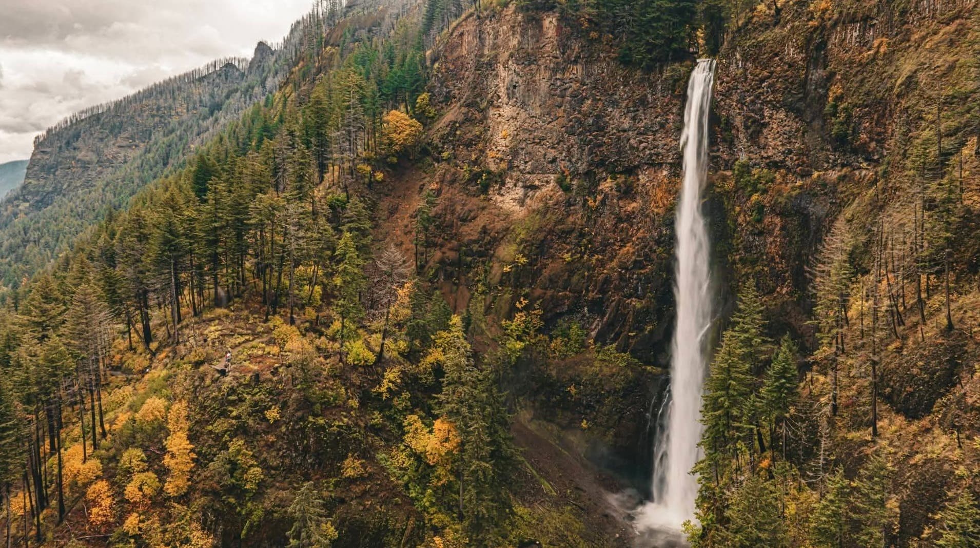 Autumn Falls